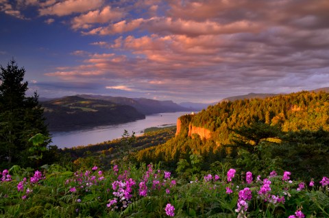Columbia River Gorge: Take A Scenic Trip Along The Beautiful Border Of Oregon & Washington