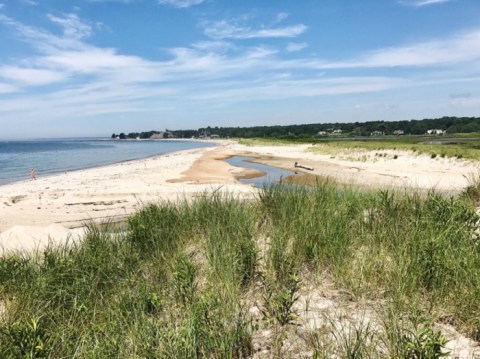 Silver Sands State Park Is A Scenic Outdoor Spot In Connecticut That's A Nature Lover’s Dream Come True