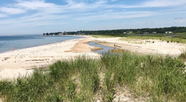 Silver Sands State Park Is A Scenic Outdoor Spot In Connecticut That’s A Nature Lover’s Dream Come True