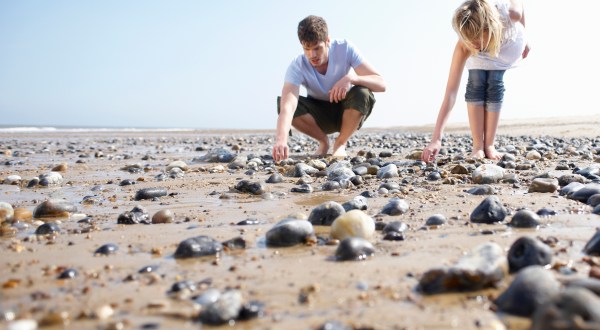 This Hidden Beach In The Lowcountry Of South Carolina Is The Best Place To Find Seashells