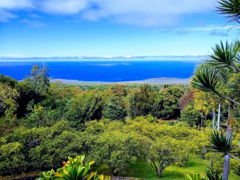 There's A Bed and Breakfast On This Tropical Fruit Farm In Hawaii And You Simply Have To Visit