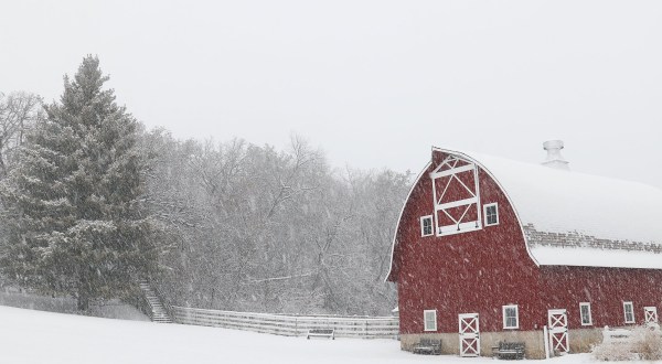 You Can Buy Unique Seeds From This Iowa Farm That Has The Largest Exchange Of Rare Seeds In The Entire Country