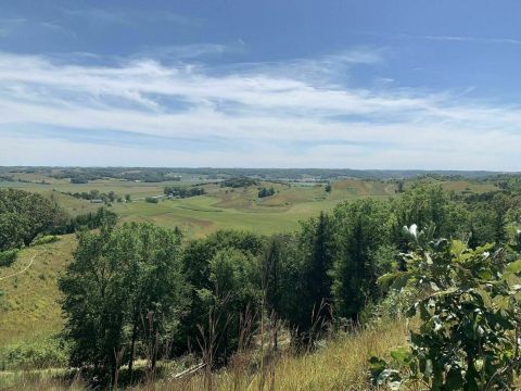 Walk Amongst The Wildflowers This Spring On The Chute And Heritage Trail Loop In Iowa