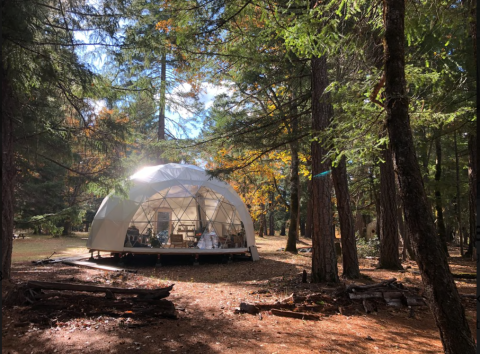 You Won't Forget Your Stay In This Divine Dome Located In Oregon's Fairytale Forest Sanctuary