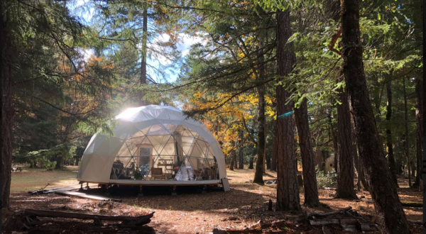 You Won’t Forget Your Stay In This Divine Dome Located In Oregon’s Fairytale Forest Sanctuary