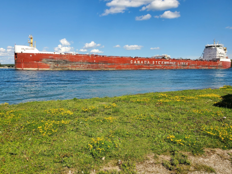 Watch Great Lakes Freighters Float By When You Visit Rotary Island Park In Michigan