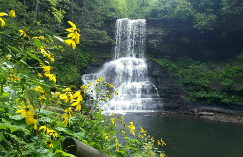 Cascade Falls In Virginia Is Considered One Of America's Best Waterfalls And We Couldn't Agree More
