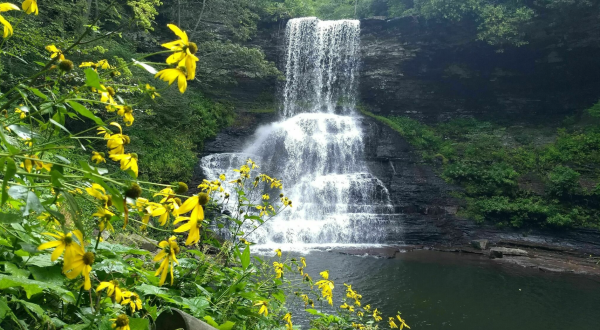 Cascade Falls In Virginia Is Considered One Of America’s Best Waterfalls And We Couldn’t Agree More