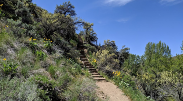 The Military Reserve Is A Lucky Find For Nature Lovers In Boise, Idaho