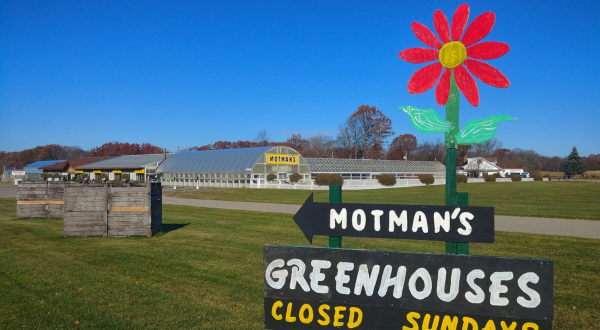 Motman’s Greenhouses And Farm Market In Michigan Is A Vibrant Day Trip Destination