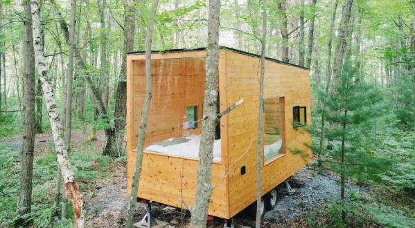 Become Immersed In Nature When You Stay At This Super-Tiny House With Giant Windows In Wisconsin