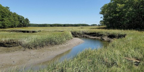 The Scenic Marsh On The Cutts Island Trail In Maine Offers A Beautifully Different Type Of Water View