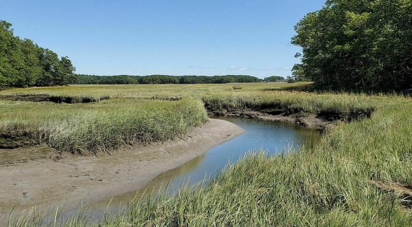 The Scenic Marsh On The Cutts Island Trail In Maine Offers A Beautifully Different Type Of Water View