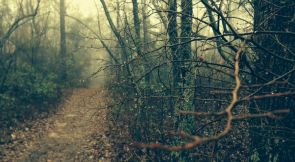 First Landing State Park Might Just Be The Most Haunted Park In Virginia
