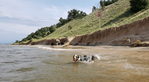 Kruse Park In Michigan Is A Secluded Beach Where Your Four-Legged Friends Are Welcome