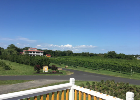 Bring Bordeaux To New Jersey By Vacationing At A Seaside Vineyard