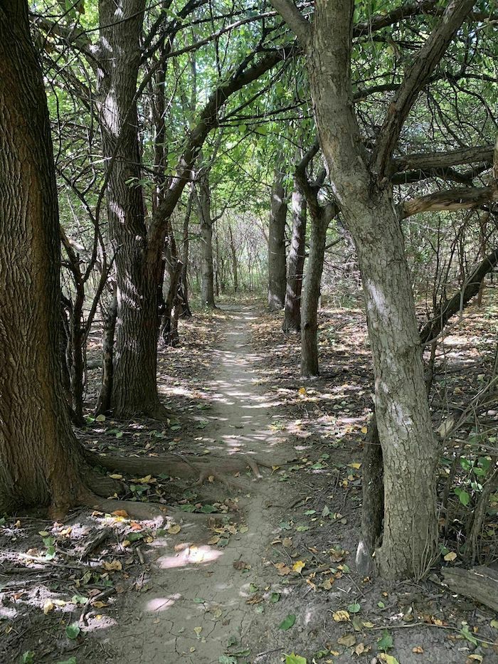 wooded pathway on Tranquility Trail in Nebraska