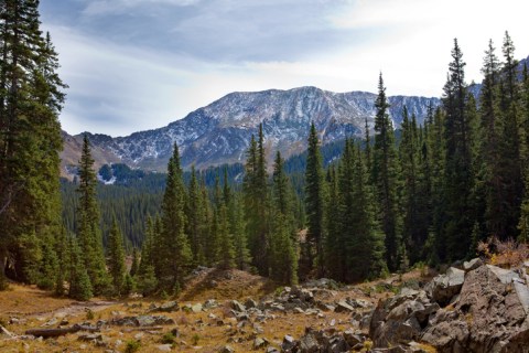 Climb The Tallest Mountain In New Mexico On This Gorgeous Yet Difficult Bull Of The Woods Trail