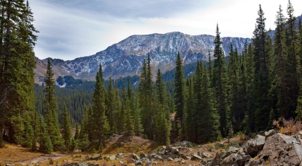 Climb The Tallest Mountain In New Mexico On This Gorgeous Yet Difficult Bull Of The Woods Trail