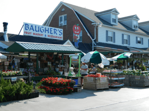 Baugher's Fruit Market In Maryland Offers Fresh Homemade Pie To Die For