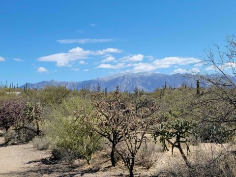 Enjoy Sweeping Mountain Vistas As You Stroll Through The Southern Arizona Wilderness At Honey Bee Canyon Park