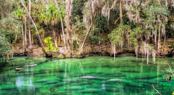 Here Are The 8 Most Peaceful Places To Go In Florida When You Need A Break From It All