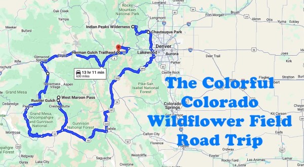 Take This Road Trip To The 6 Most Eye-Popping Wildflower Fields In Colorado