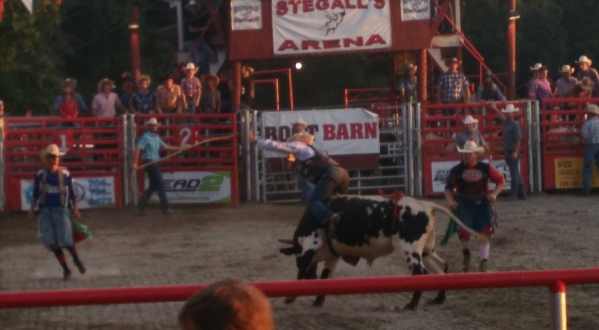 The Longest Running Jackpot Bull Riding Rodeo In The Southeast Is Found At This Arena In North Carolina