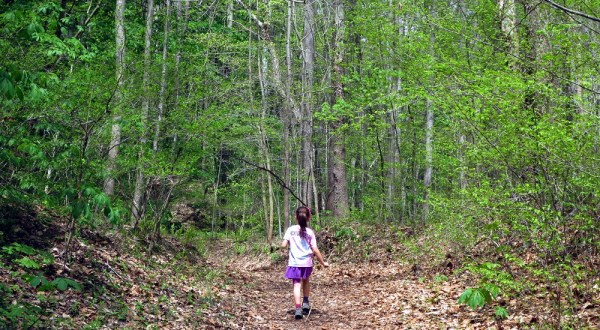 Some Of Spring’s Earliest Wildflowers Can Be Found Along This Peaceful Trail In West Virginia