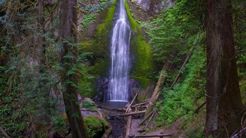 The Gorgeous 1.7-Mile Hike In Washington's Olympic National Park That Will Lead You Past Several Waterfalls
