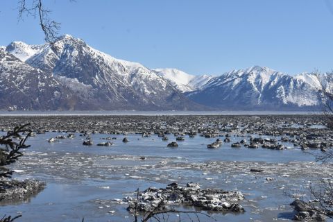 Travel Along The Sweeping Cook Inlet When You Hike Alaska's Gull Rock Trail