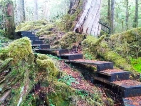 Follow The Enchanting Boardwalk Up To An Alaskan Waterfall On This Short And Sweet Hike