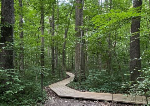 Take An Enchanted Forest Hike In Ohio Along The 2.5-Mile Kendrick Woods Loop