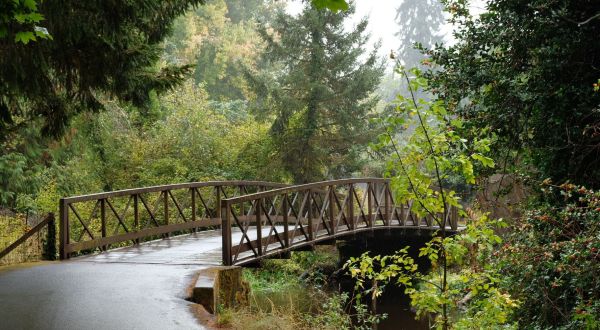 Bike Your Way Into Spring On This Gorgeous Greenway Trail In Washington