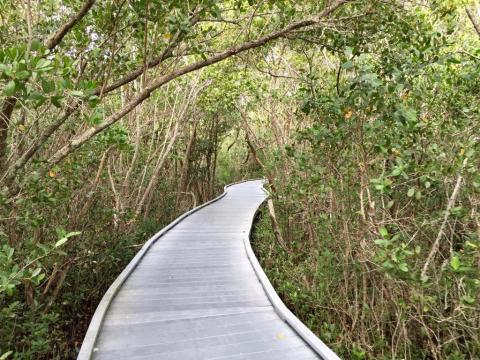 Established In 1945, J.N. 'Ding' Darling National Wildlife Refuge In Florida Is A Natural Paradise