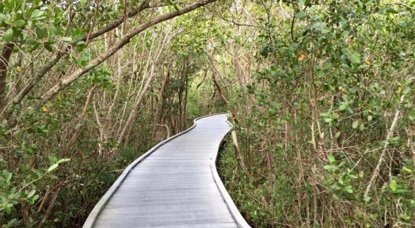 Established In 1945, J.N. “Ding” Darling National Wildlife Refuge In Florida Is A Natural Paradise