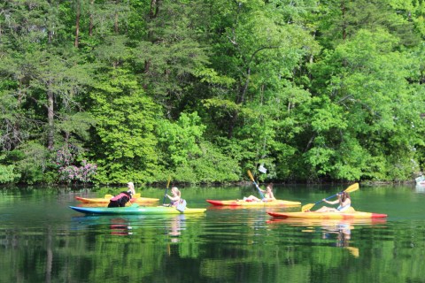 Alabama's DeSoto State Park Offers A Scenic Kayak Trip You Don't Want To Miss