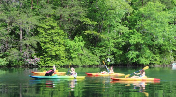 Alabama’s DeSoto State Park Offers A Scenic Kayak Trip You Don’t Want To Miss