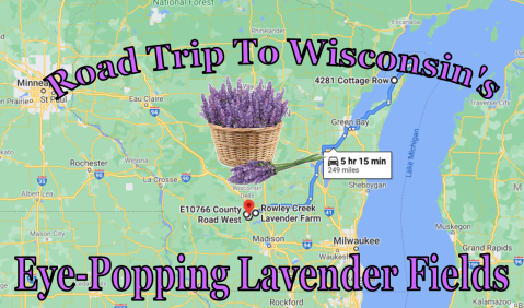 Take This Road Trip To The 6 Most Eye-Popping Lavender Fields In Wisconsin