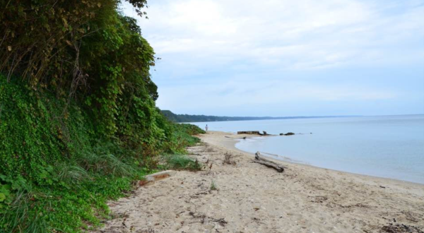 This Hidden Beach Along The Maryland Coast Is The Best Place To Find Seashells And Fossils