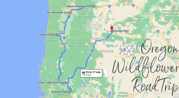 Take This Road Trip To The 7 Most Eye-Popping Wildflower Fields In Oregon