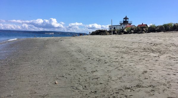 This Hidden Beach Along The Washington Coast Is The Best Place To Find Seashells