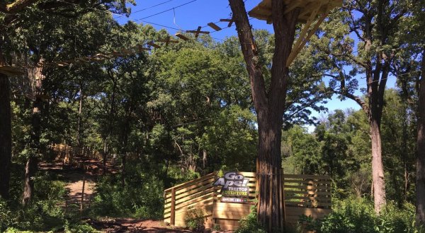 Fly Through The Trees At Go Ape Zipline And Adventure Park In Illinois