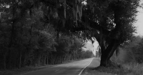 Stay Away From South Carolina's Most Haunted Street After Dark Or You May Be Sorry