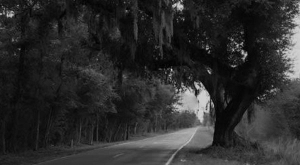 Stay Away From South Carolina’s Most Haunted Street After Dark Or You May Be Sorry