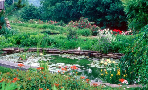 You'll Want To Visit Sunshine Farm & Gardens, A Dreamy Flower Farm In West Virginia, This Spring