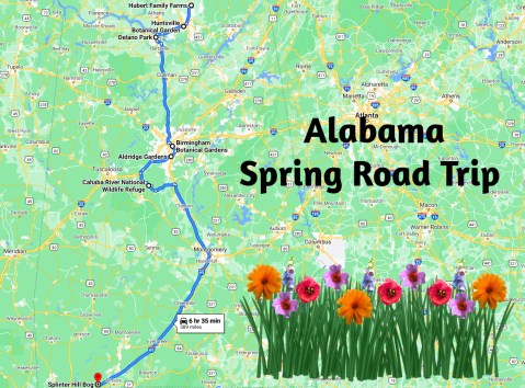 This Spring Road Trip Will Take You To 7 Of Alabama's Cant-Miss Spots