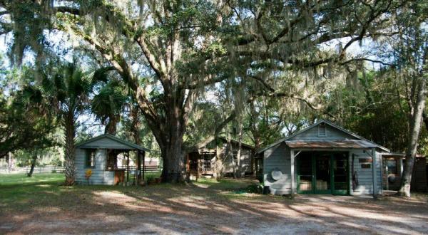 There’s A Bed and Breakfast On This Old Florida Ranch And You Simply Have To Visit