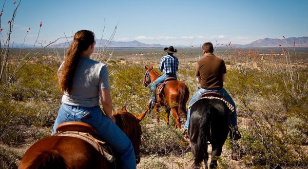 Go Horseback Riding Through The Arizona Desert At Tombstone Monument Ranch In Arizona