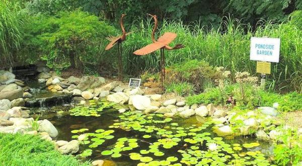 Wander Through A Delightful Landscape When You Visit Wilson Botanical Gardens In North Carolina